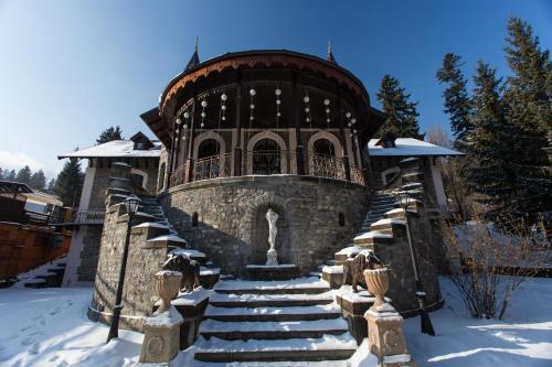 Castelul Stirbey - 7