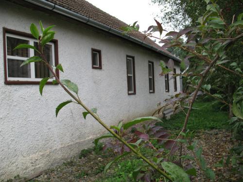 Casuta Sanatatii - 890