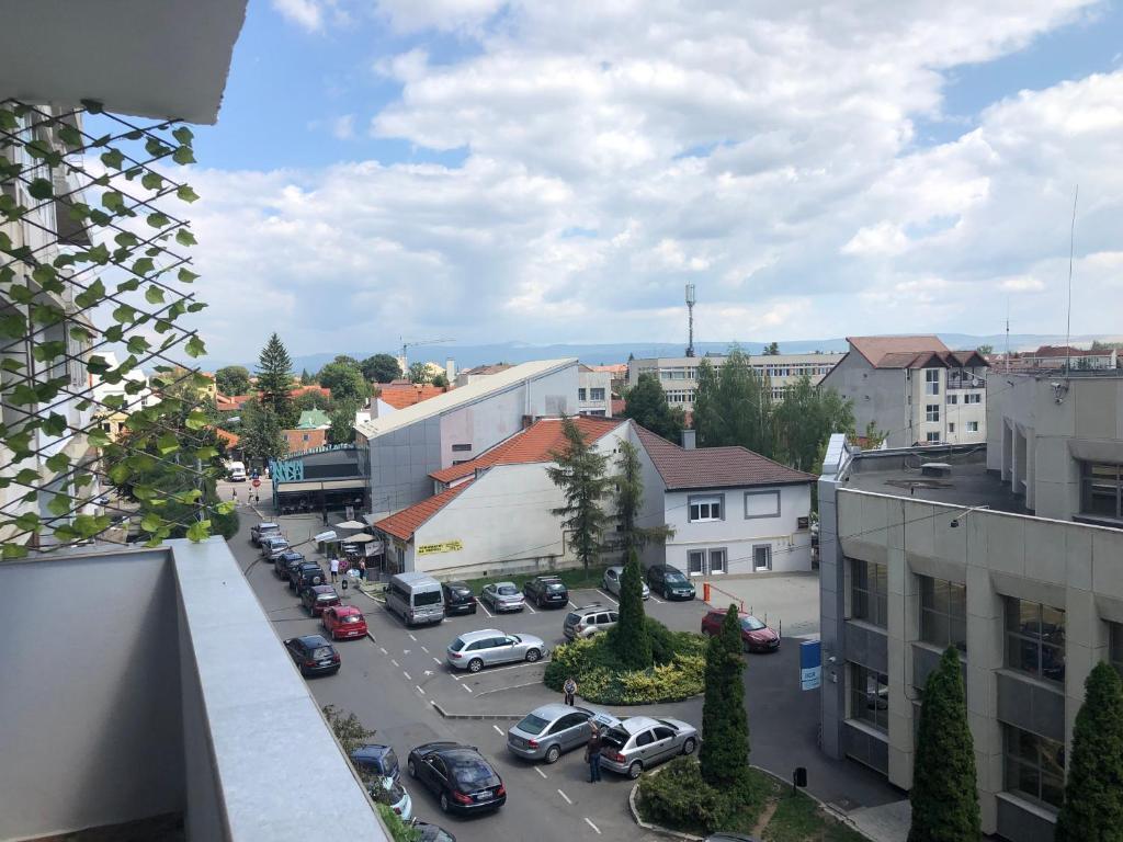 Central 1 bedroom rental unit in Sfantu Gheorghe - 847