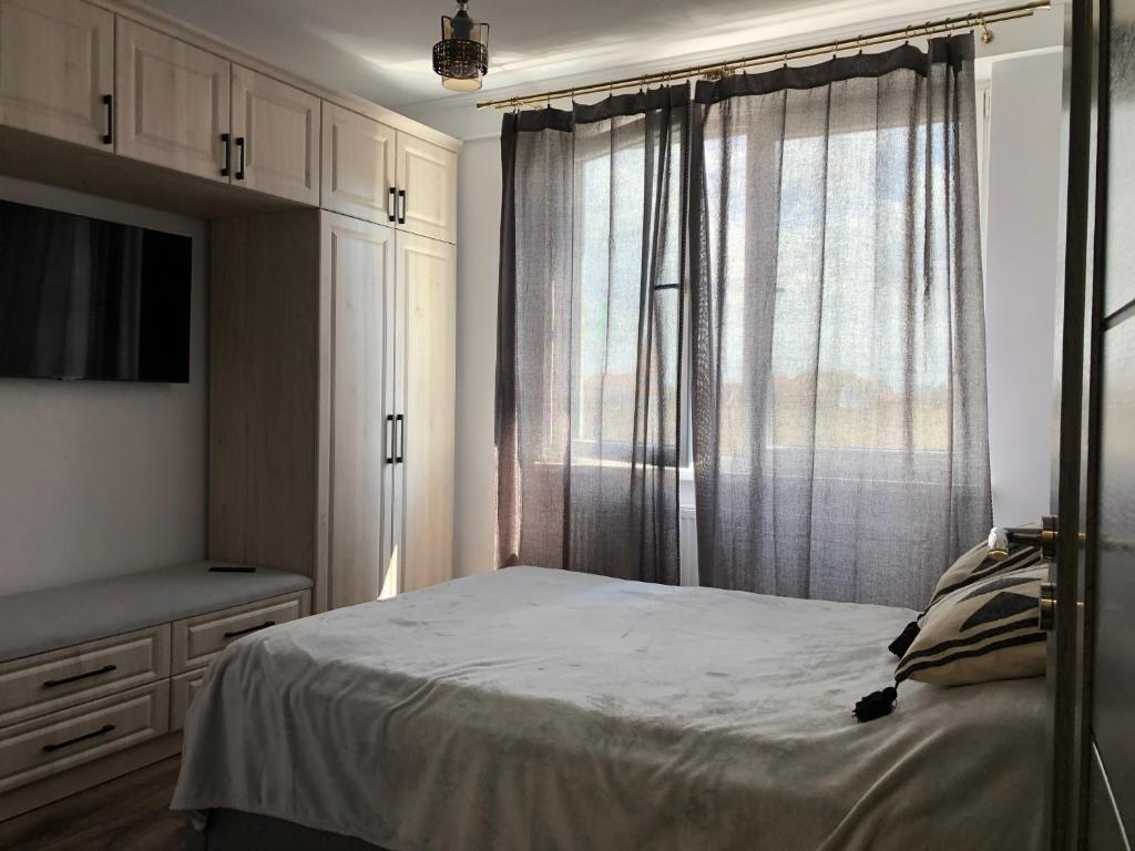 Central 1 bedroom rental unit in Sfantu Gheorghe - 141