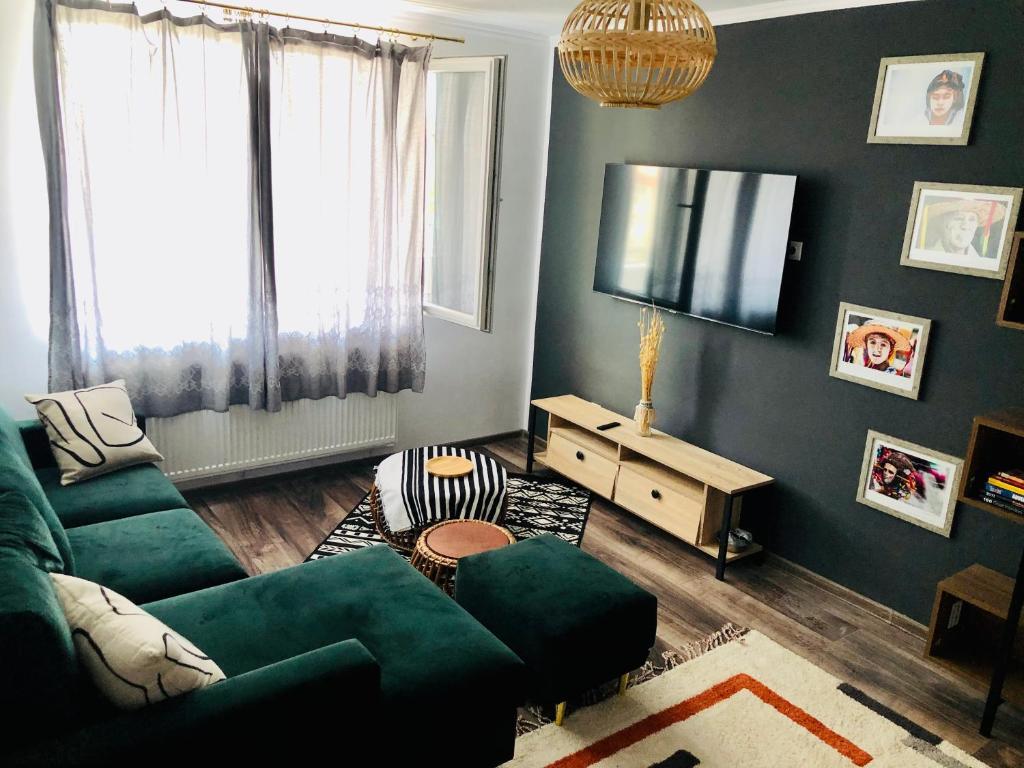 Central 1 bedroom rental unit in Sfantu Gheorghe - 81