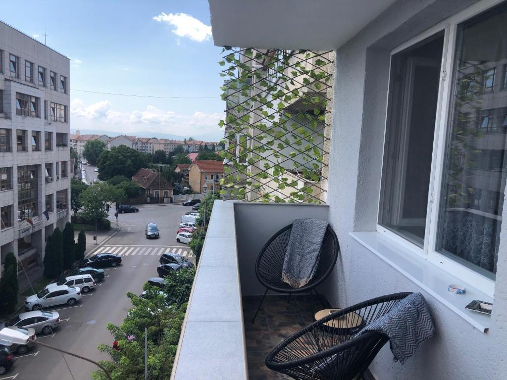 Central 1 bedroom rental unit in Sfantu Gheorghe - 61