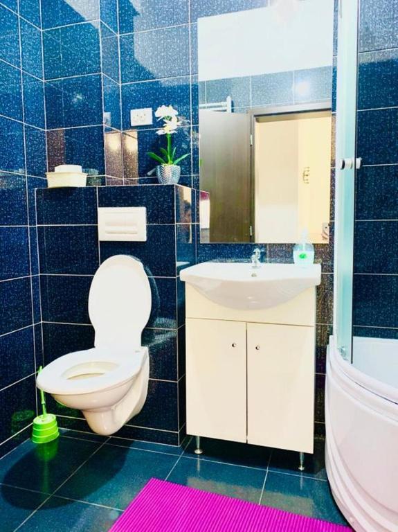 Central 2 bedrooms apartment near Palas Mall - 807