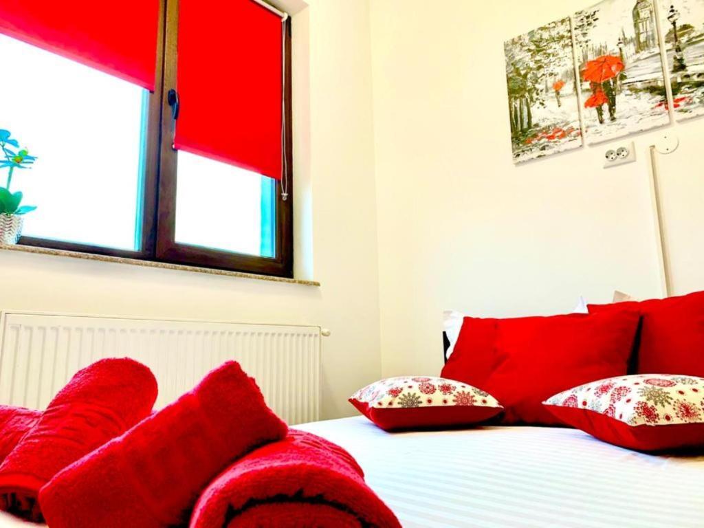 Central 2 bedrooms apartment near Palas Mall - 221