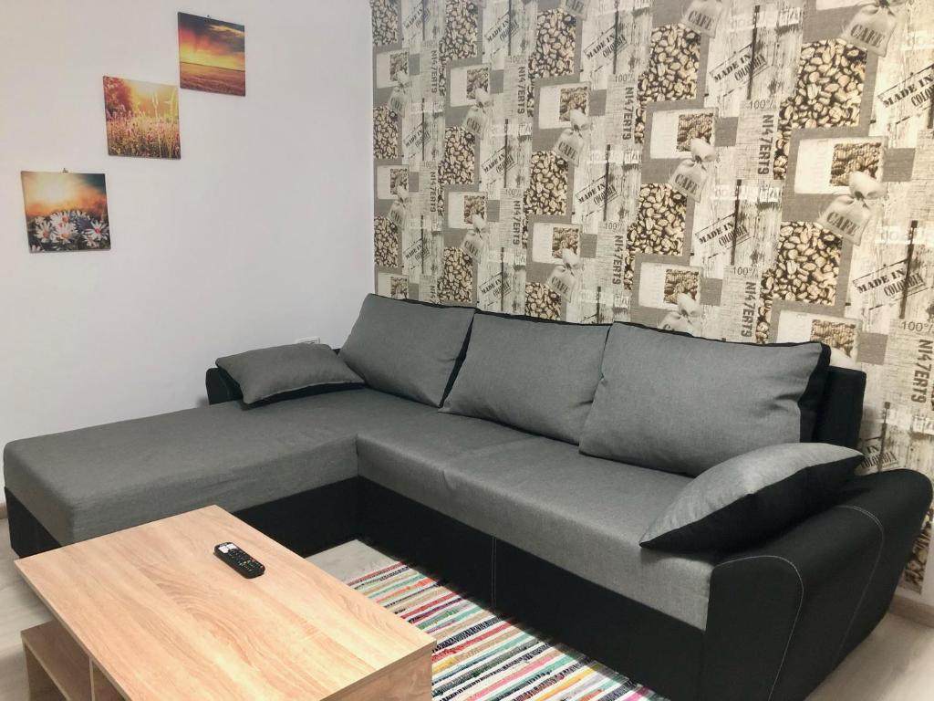 Central Park - Big Apartment - 3 ROOMS - Free Parking T5 - 4