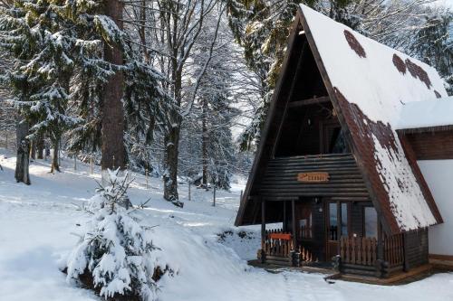 Centrul De Echitatie Poiana Brasov - 541