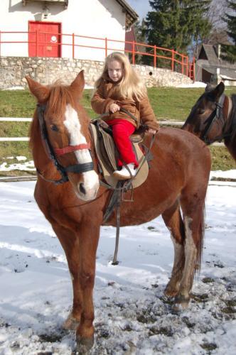 Centrul De Echitatie Poiana Brasov - 266
