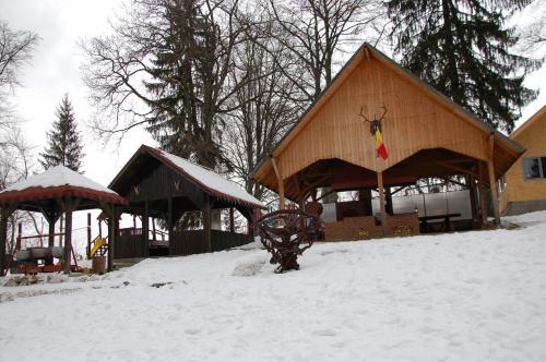 Centrul De Echitatie Poiana Brasov - 784