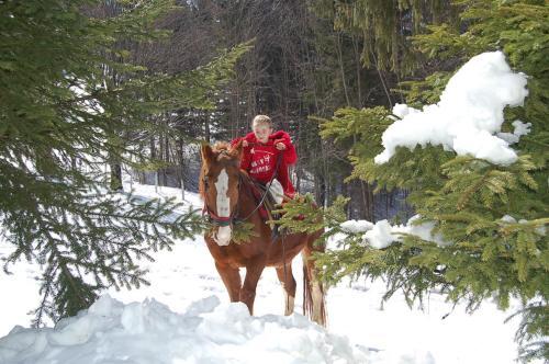 Centrul De Echitatie Poiana Brasov - 117