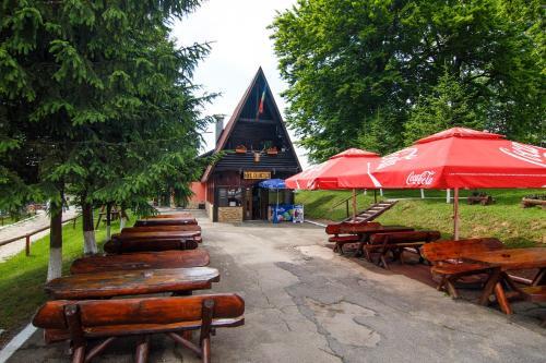 Centrul De Echitatie Poiana Brasov - 410