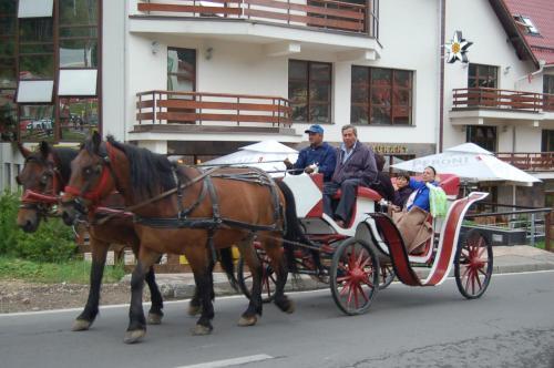 Centrul De Echitatie Poiana Brasov - 605