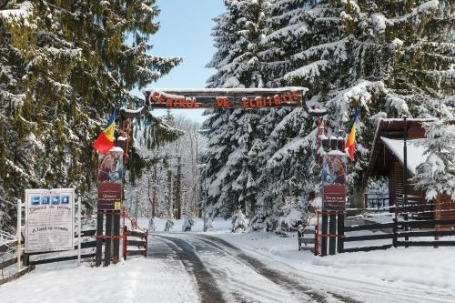 Centrul De Echitatie Poiana Brasov - 437