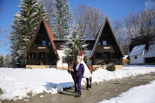 Centrul De Echitatie Poiana Brasov - 34