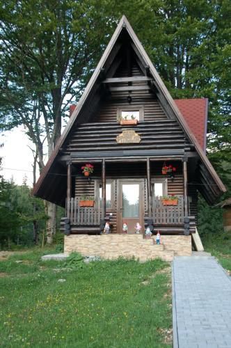 Centrul De Echitatie Poiana Brasov - 234