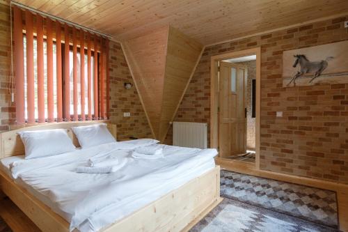 Centrul De Echitatie Poiana Brasov - 319