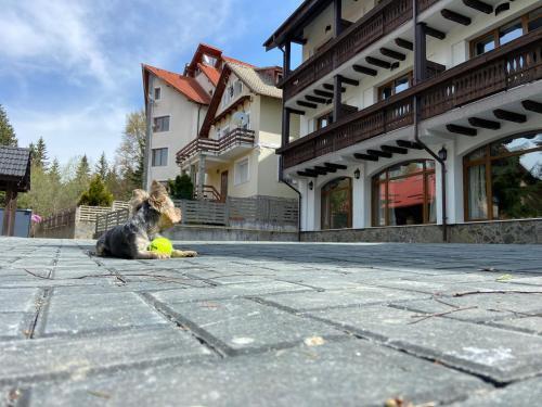 Chalet Wiese - 199
