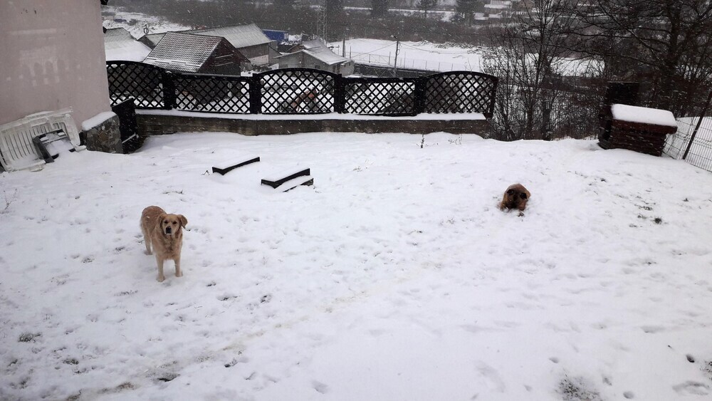 Chalet with 5 Bedrooms in Bu?Teni, with Wonderful Mountain View, Enclosed Garden And Wifi - 252
