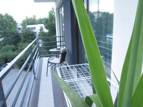 City Park Residence - 433