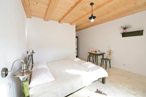 Cloasterf Haus - 254