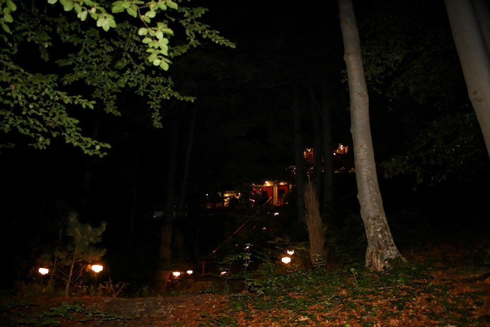 Boutique Hotel Club Austria - 624