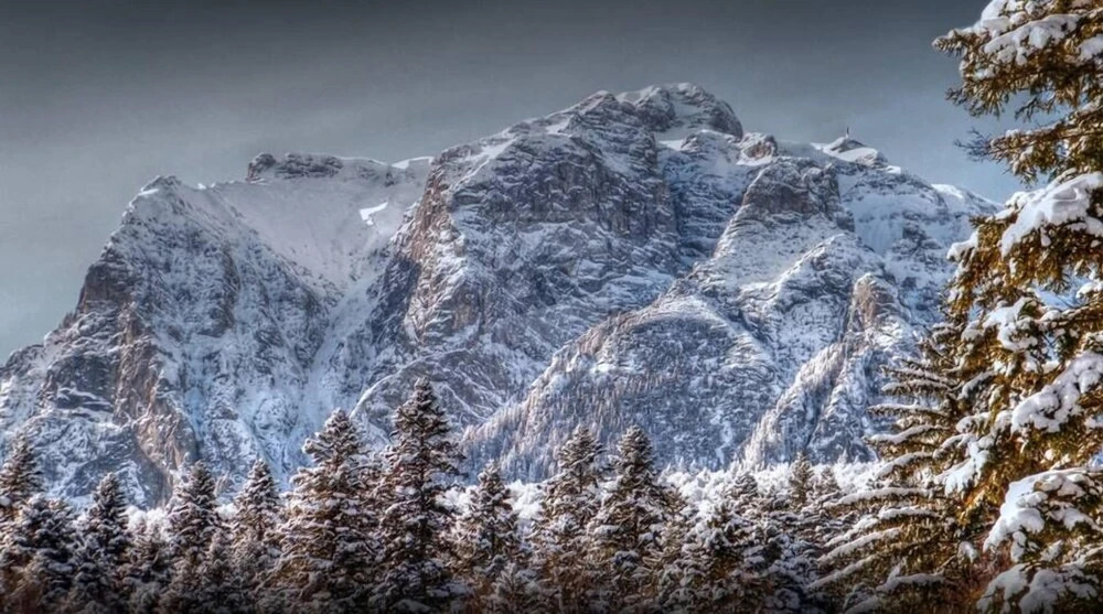 Boutique Hotel Club Austria - 444