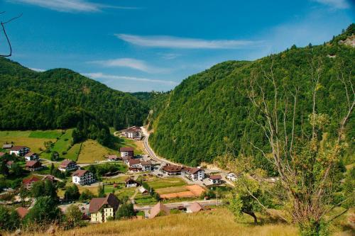 Resort Cheile Gradistei Moieciu - 711