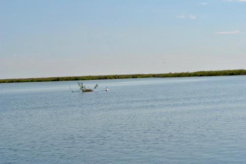 Delta Marina - 438