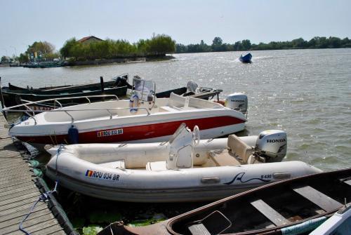 Delta Marina - 440