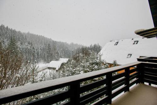 Hotel Floare de Colt Bucovina - 920