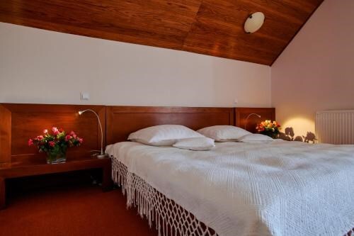 Hotel Floare de Colt Bucovina - 246