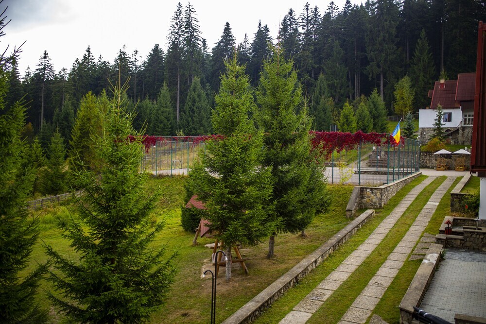 Hotel Floare de Colt Bucovina - 670