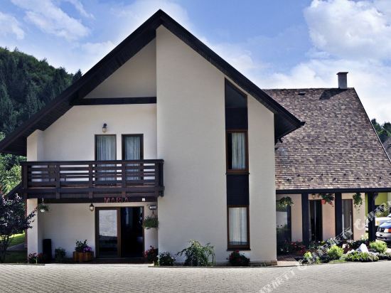 Hotel Floare de Colt Bucovina - 860