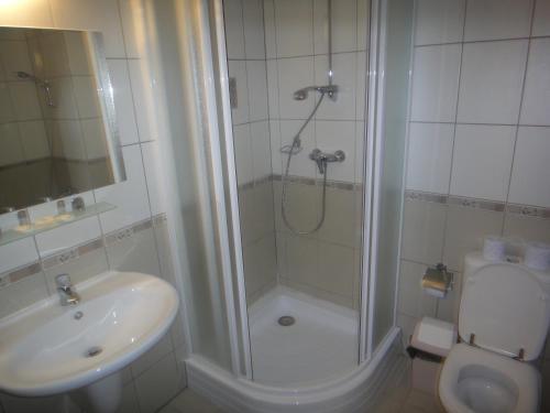 Hotel Floare de Colt Bucovina - 6