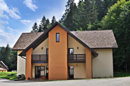 Hotel Floare de Colt Bucovina - 339