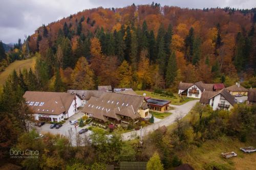 Hotel Floare de Colt Bucovina - 30