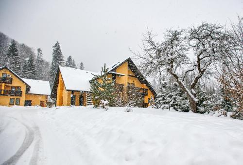 Hotel Floare de Colt Bucovina - 497