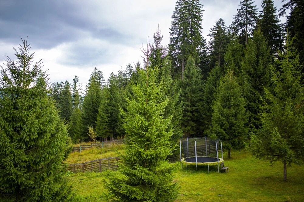 Hotel Floare de Colt Bucovina - 426