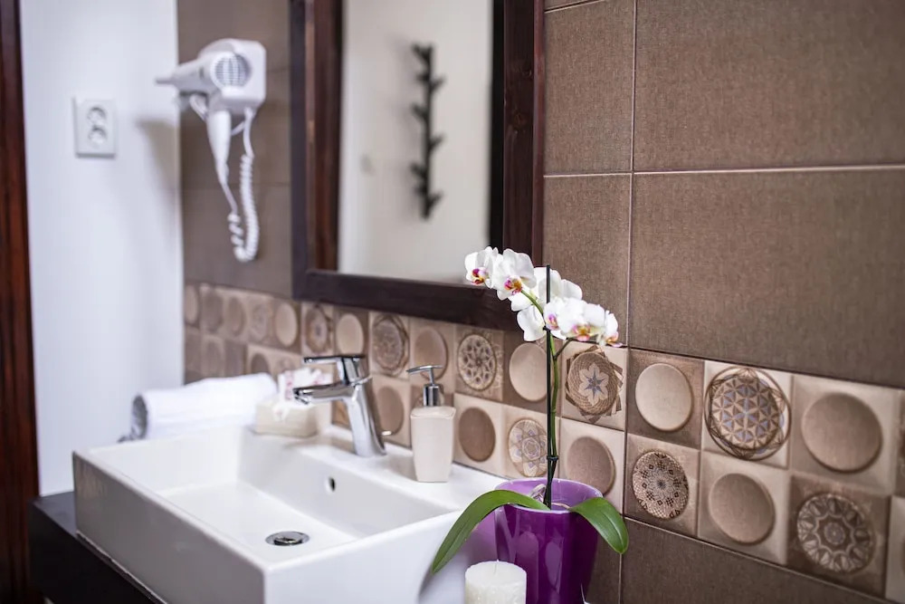 Hotel Floare de Colt Bucovina - 582