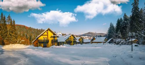 Hotel Floare de Colt Bucovina - 657