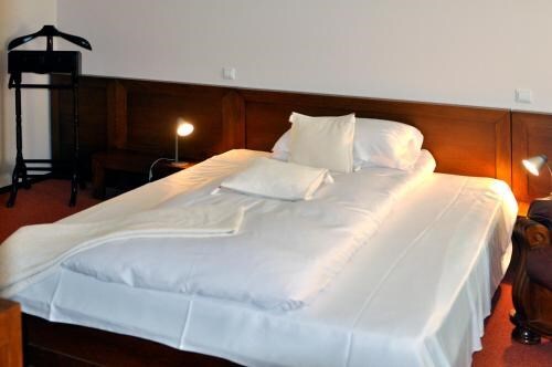 Hotel Floare de Colt Bucovina - 387