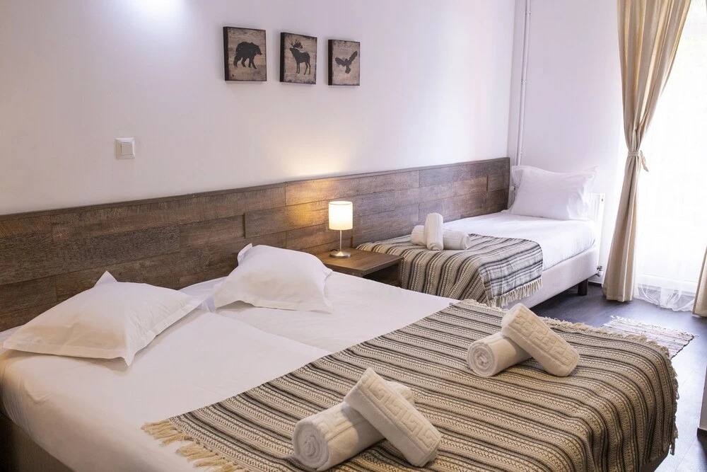 Hotel Floare de Colt Bucovina - 54