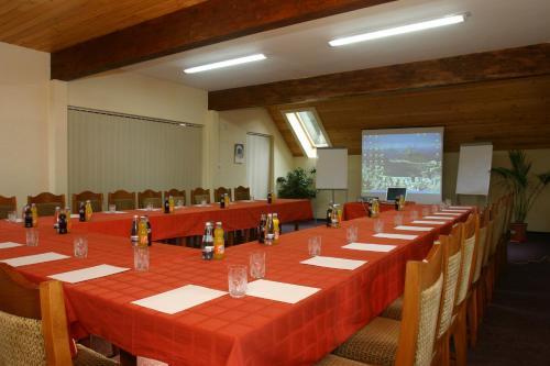 Hotel Floare de Colt Bucovina - 413