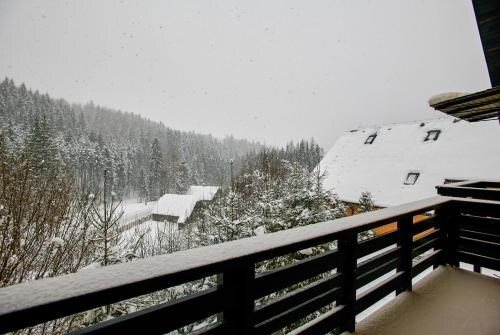 Hotel Floare de Colt Bucovina - 895