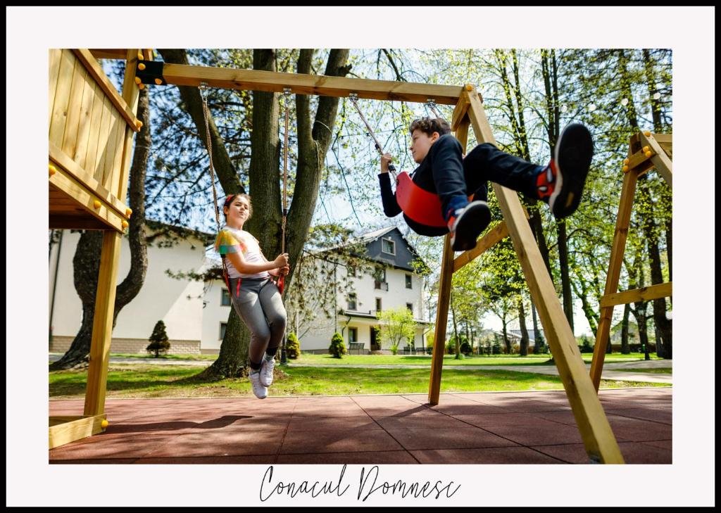 Conacul Domnesc - 468