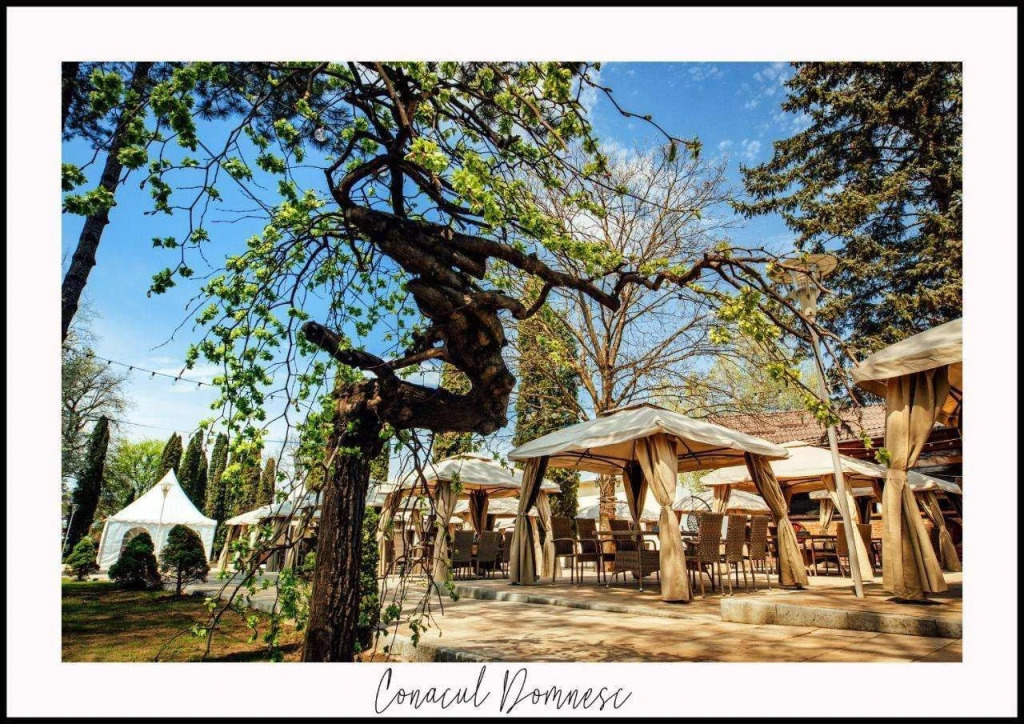 Conacul Domnesc - 243