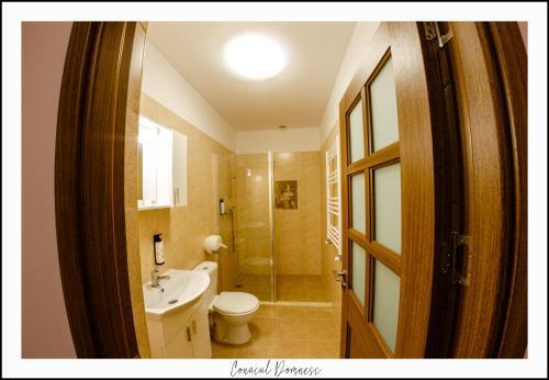 Conacul Domnesc - 972