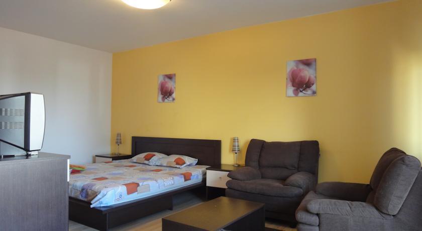 Confort Accommodation Apartments - 13 Septembrie - 69