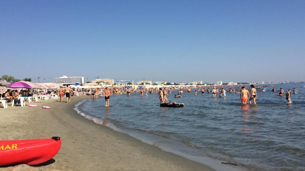 Corallia 1-05 - 730