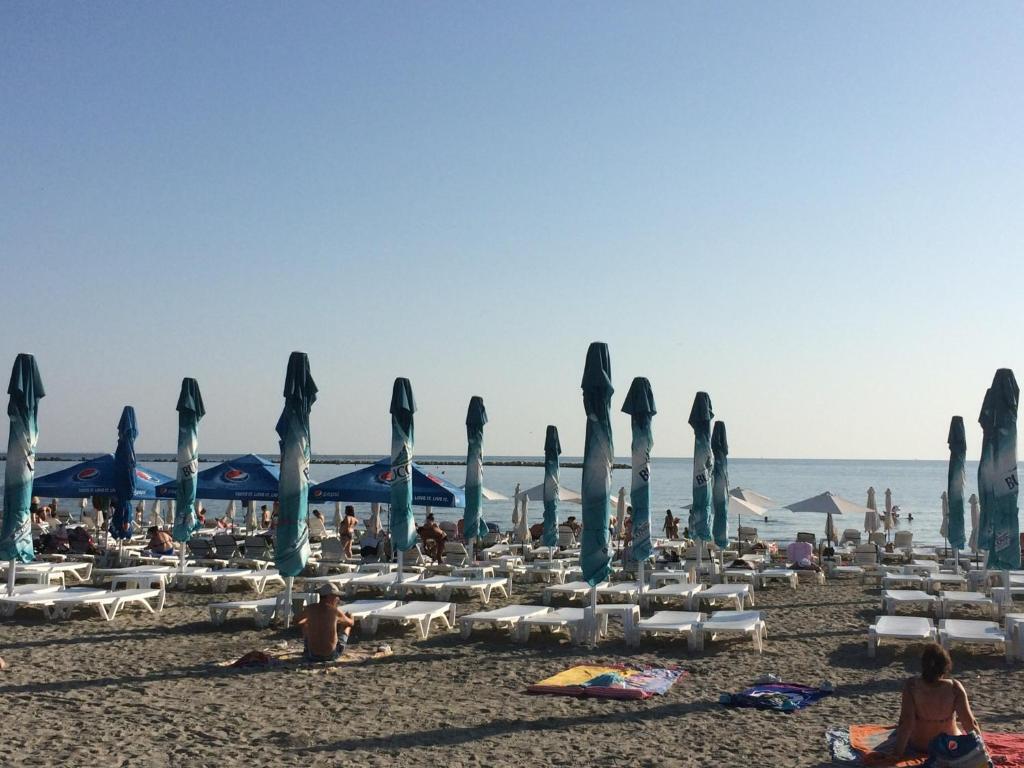 Corallia 1-05 - 303