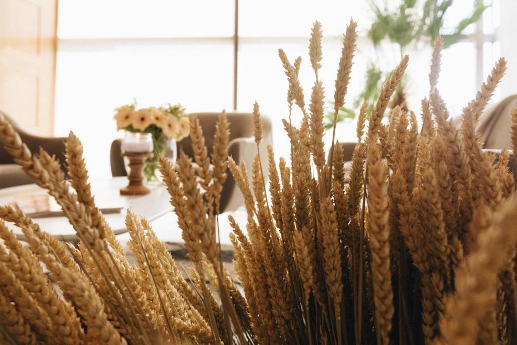 Country Spa Retreat - 378